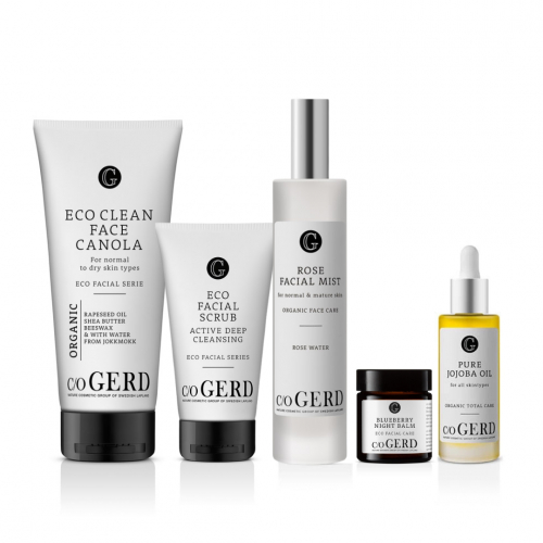 DETOX-PAKETTI KUIVALLE IHOLLE